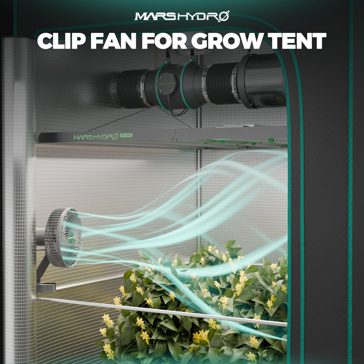 Mars Hydro FC-E6500 Complete Grow Tent Kits | 730W LED Grow Light + 150x150cm Indoor Tent + 6″ Ventilation System
