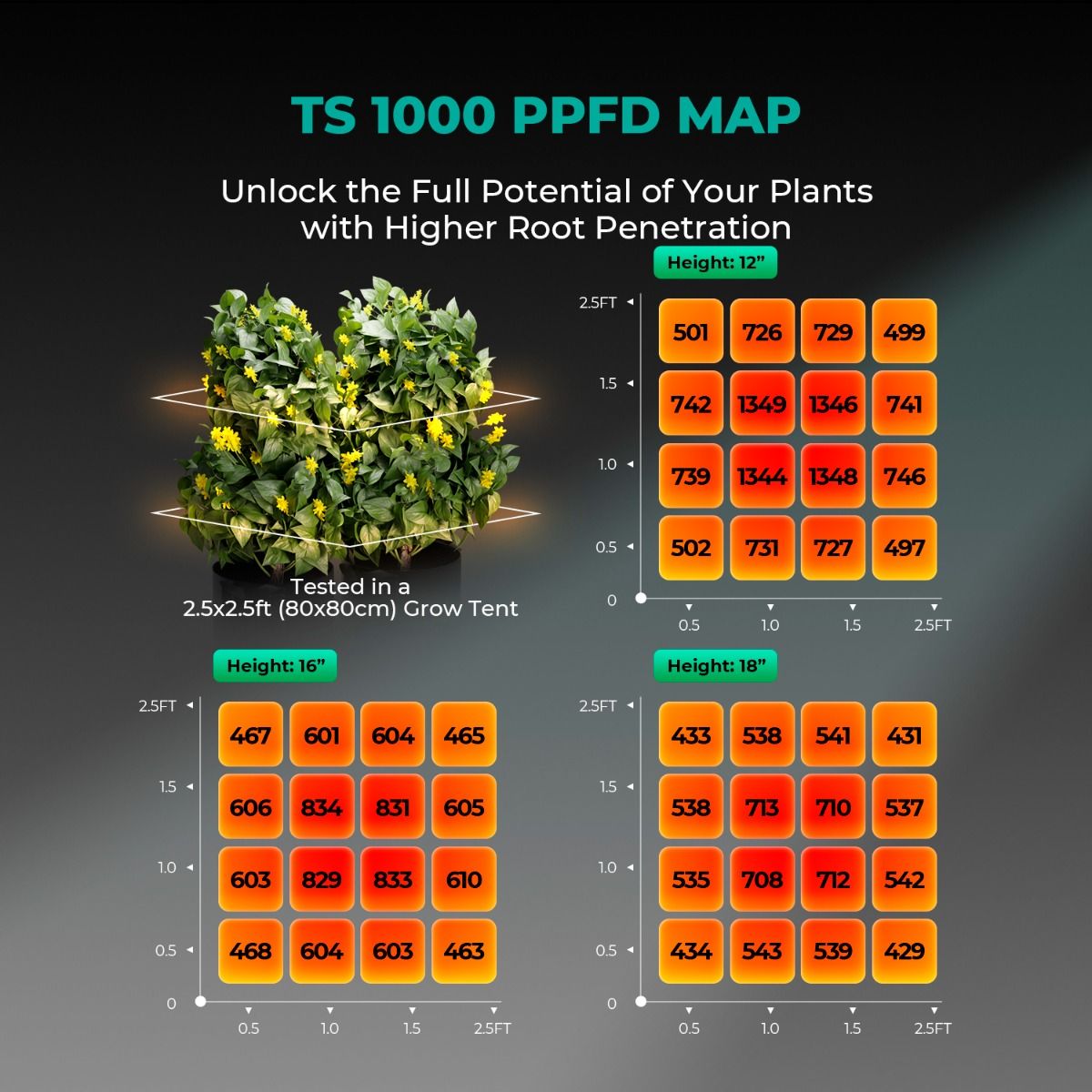 Mars Hydro TS1000 LED Grow Lampe - 150W Quantum Board - Full Spectrum & Dimmer