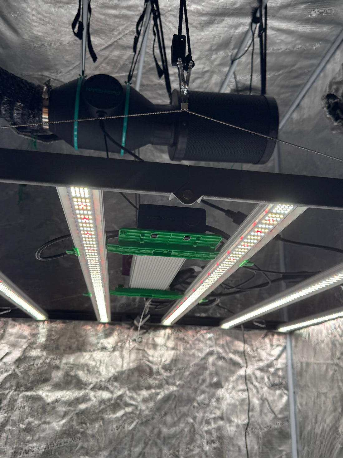 LED-Grow-Vergleich: Warum die Quantum Bar das Indoor-Hosting revolutioniert