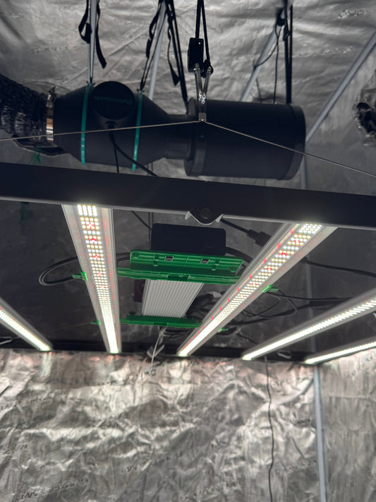 LED-Grow-Vergleich: Warum die Quantum Bar das Indoor-Hosting revolutioniert