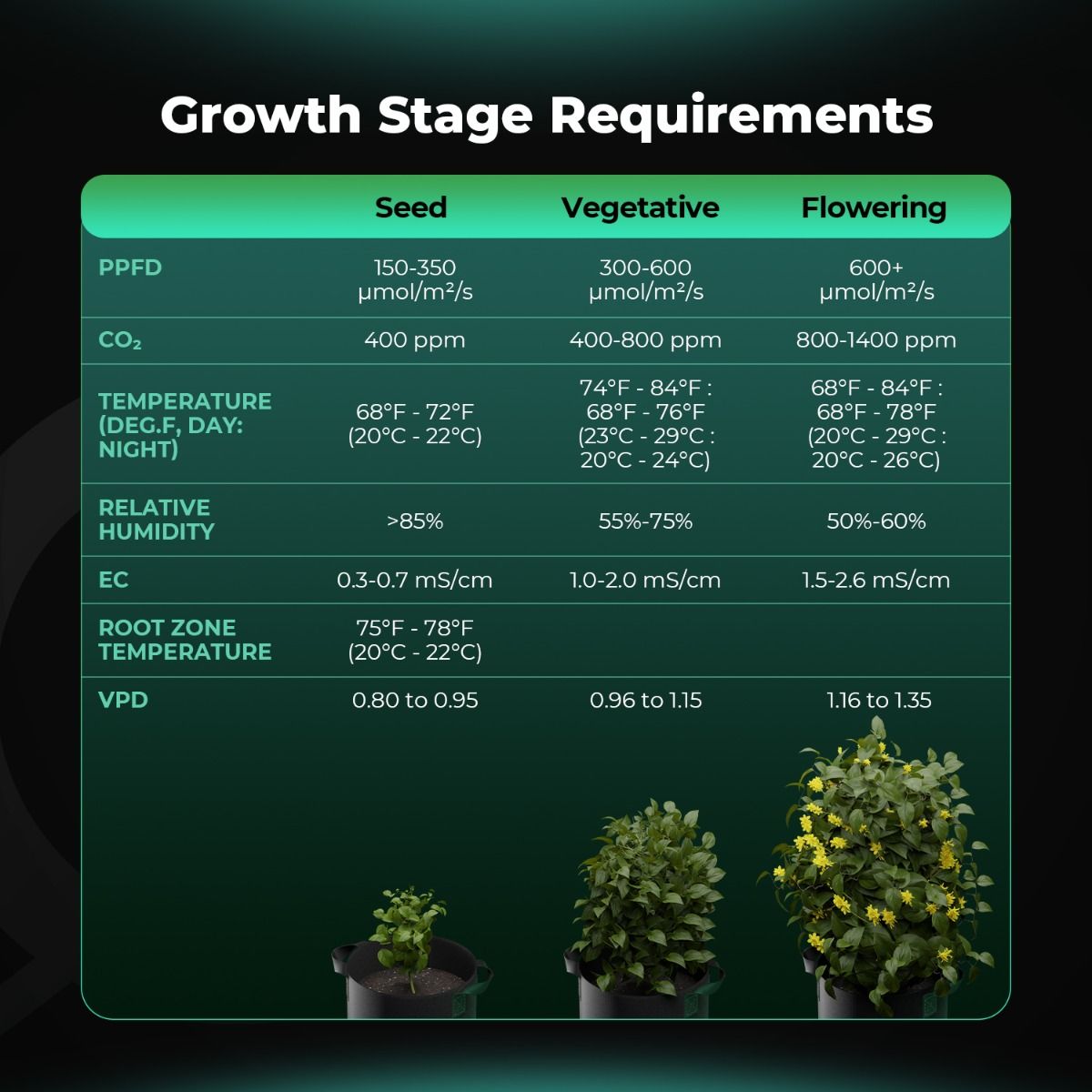 Mars Hydro iControl Ultimate Set - Smart Grow Controller inkl. CO2-, PAR- & Boden-Sensoren