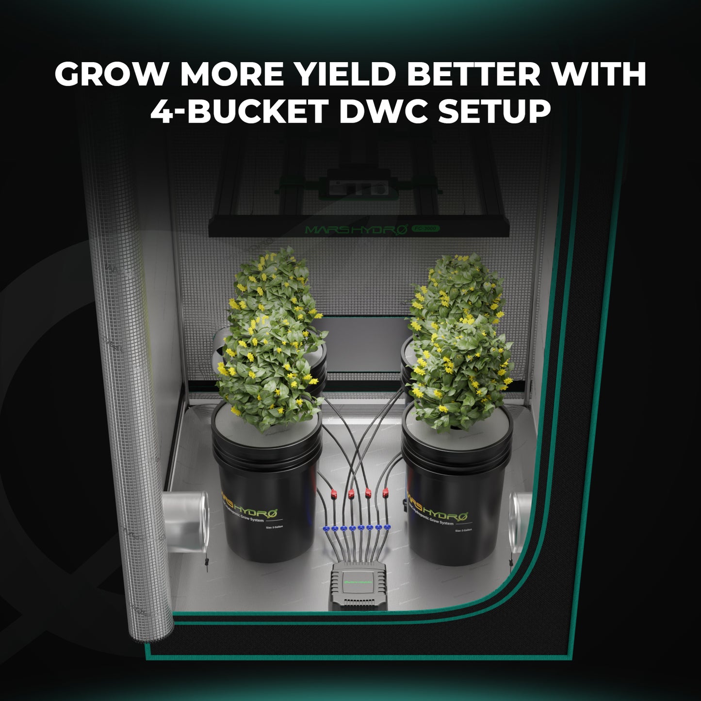 Mars Hydro DWC Hydroponik-System – 4er Set für maximales Wurzelwachstum