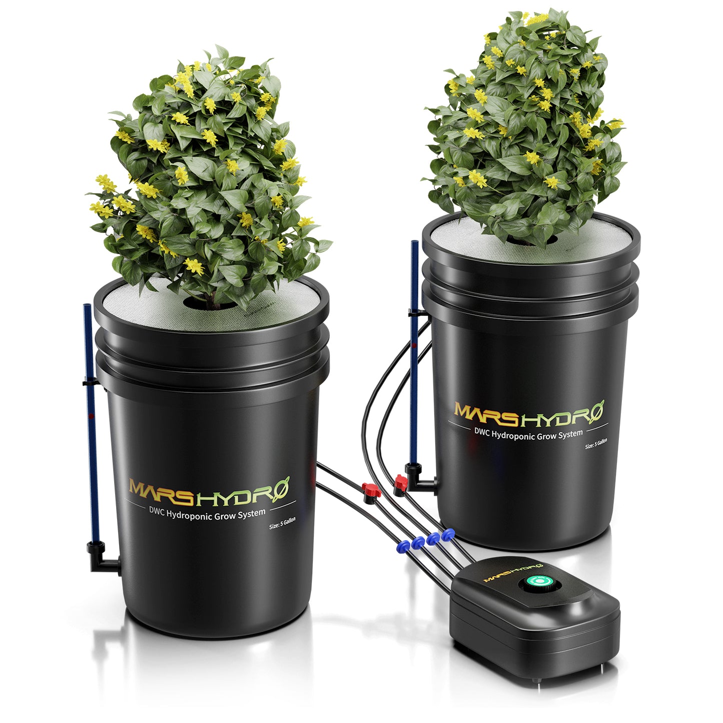 Mars Hydro DWC Hydroponik-System – 2er Set für kompaktes & schnelles Wachstum