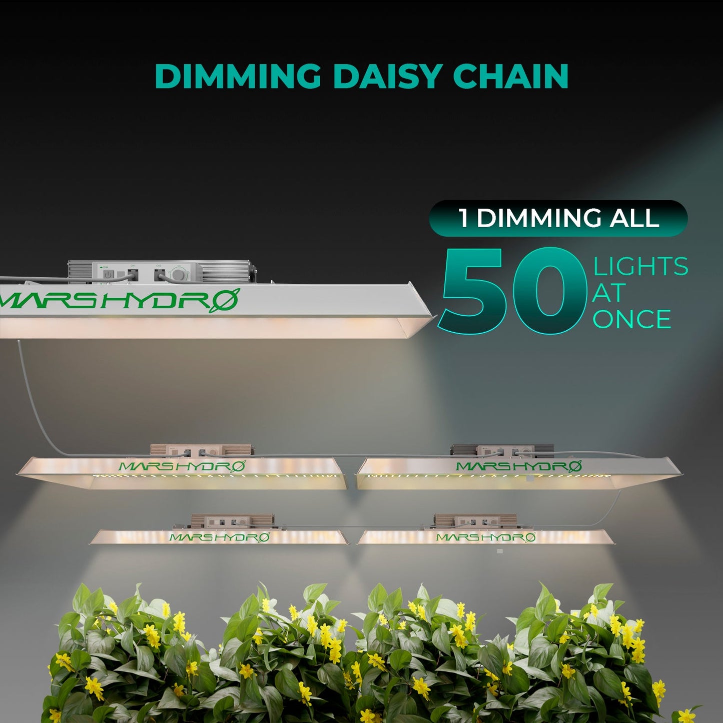 Mars Hydro TSW2000 LED Grow Lampe - 300W Quantum Board - Full Spectrum & Dimmer