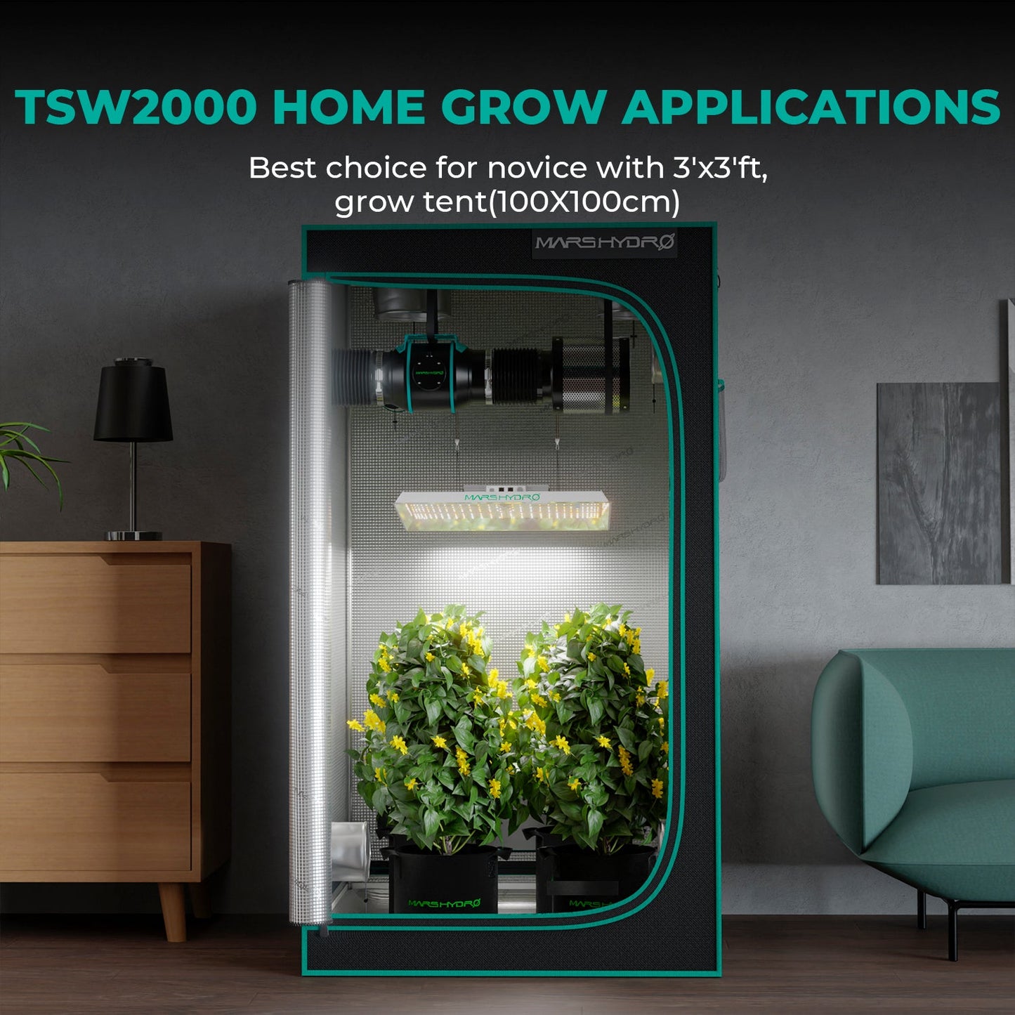 Mars Hydro TSW2000 LED Grow Lampe - 300W Quantum Board - Full Spectrum & Dimmer