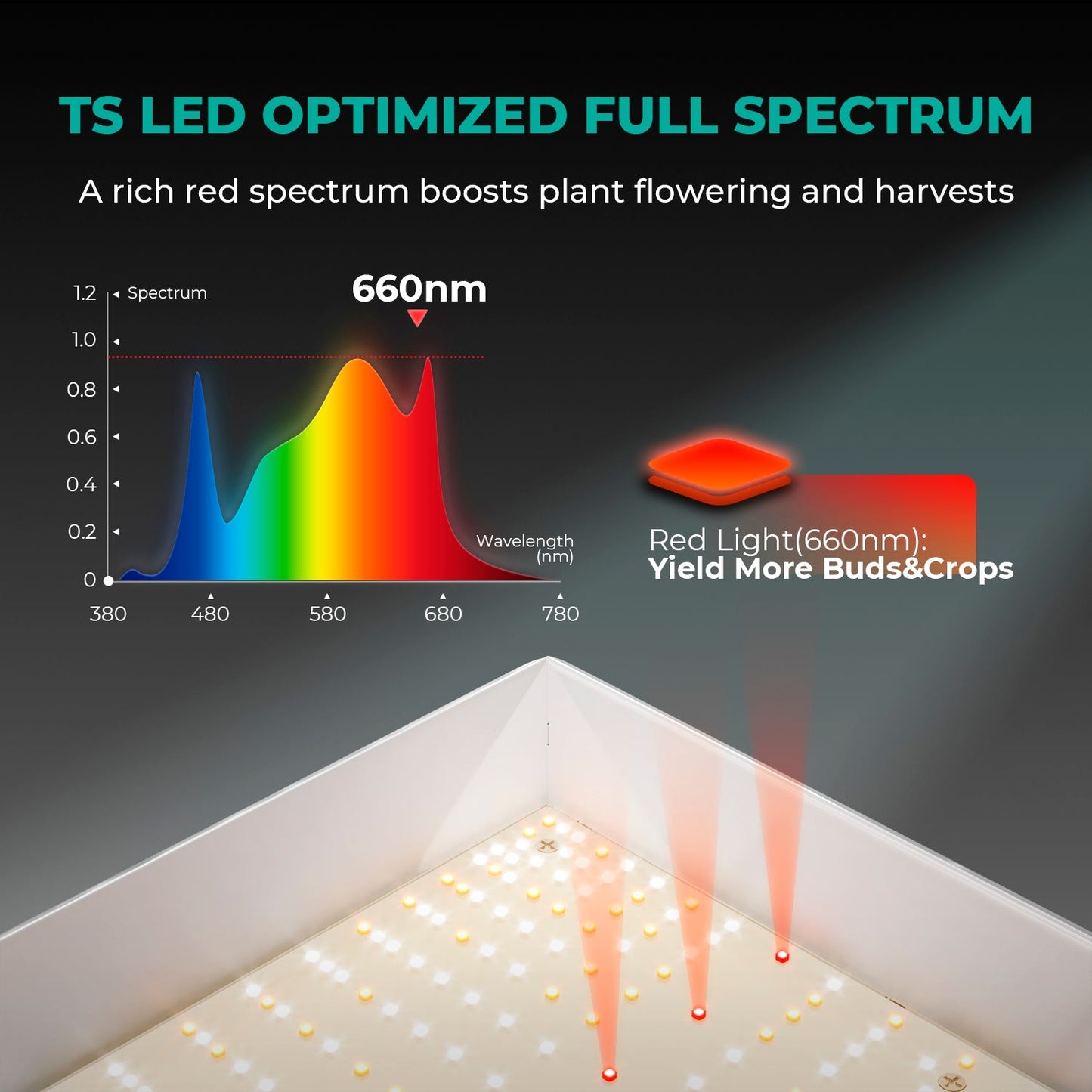 Mars Hydro TSW2000 LED Grow Lampe - 300W Quantum Board - Full Spectrum & Dimmer