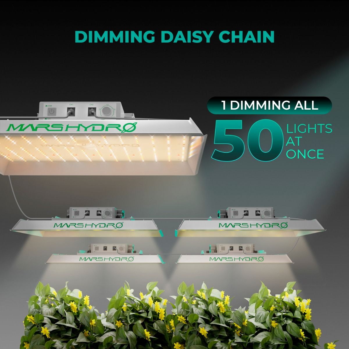 Mars Hydro TS1000 LED Grow Lampe - 150W Quantum Board - Full Spectrum & Dimmer