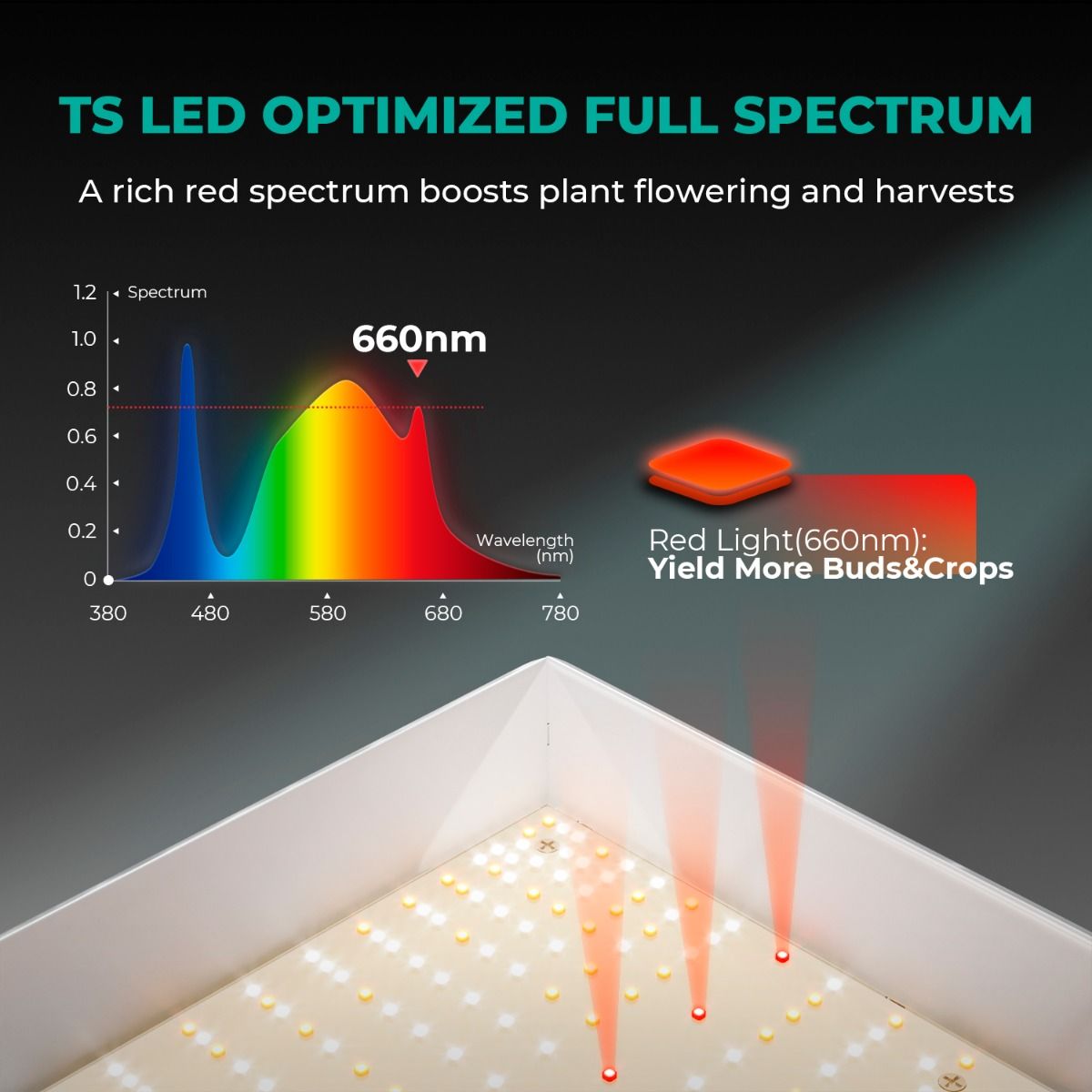 Mars Hydro TS1000 LED Grow Lampe - 150W Quantum Board - Full Spectrum & Dimmer